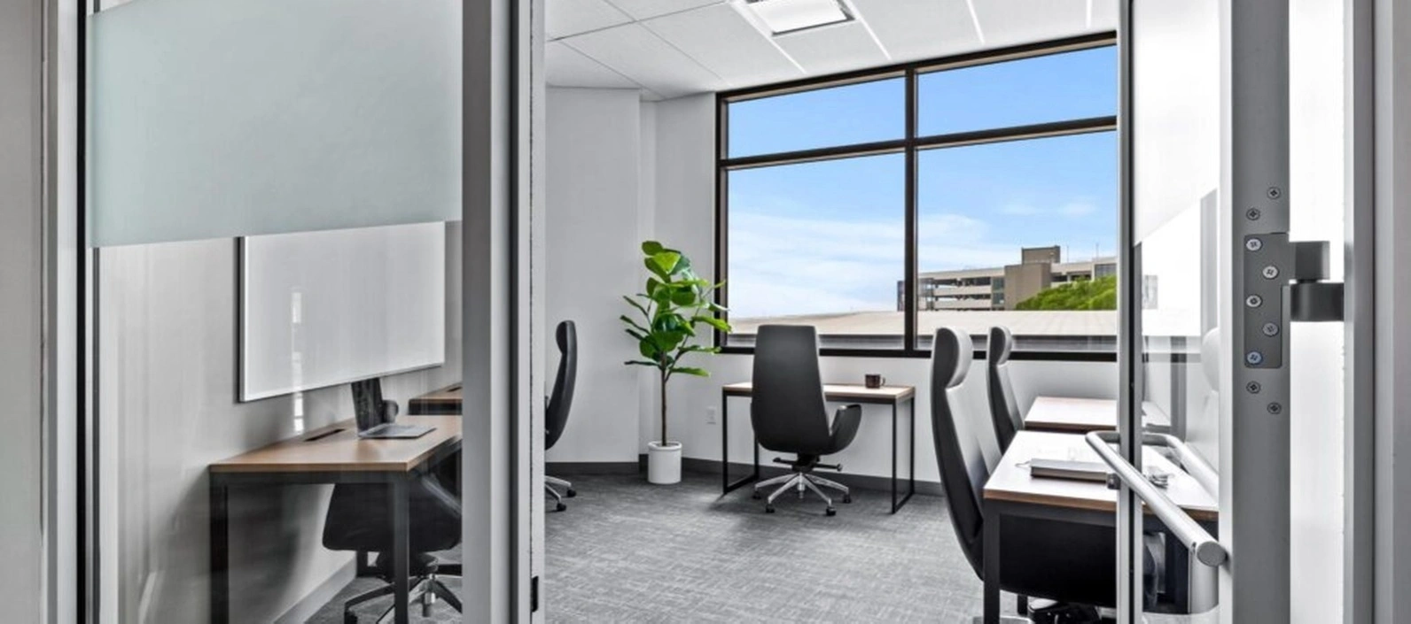 Sustained focus workspace training